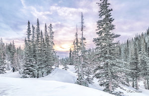 Winter Hike 2021
