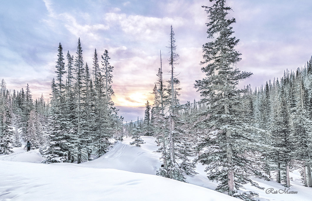 Winter Hike 2021