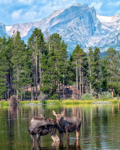 Twins at Sprague Lake